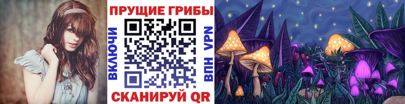 гидра зеркало Королёв Псилоцибиновые грибы MAGIC MUSHROOMS где найти наркотики
